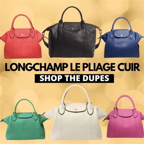 amazon designer bag dupes longchamp|longchamp bag alternative.